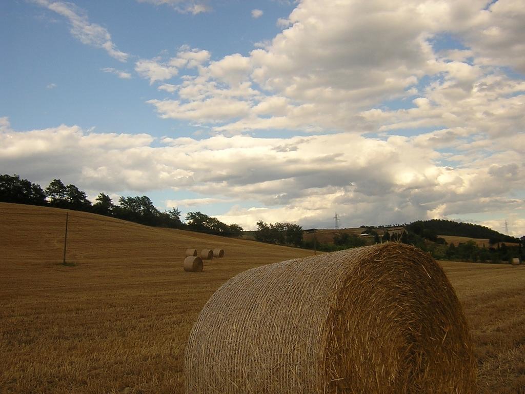 Agriturismo Le Spighe Proceno المظهر الخارجي الصورة