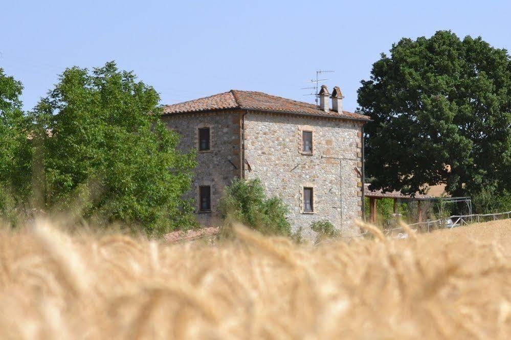 Agriturismo Le Spighe Proceno المظهر الخارجي الصورة